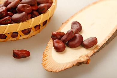 《宝可梦：朱＆紫》新太晶团战活动预告 可获得5V百变怪